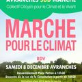 Marche pour le Climat à Avranches ce samedi 8 décembre 2018