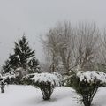 Joyeux Noël ! 