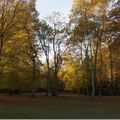 L’automne dans mon jardin