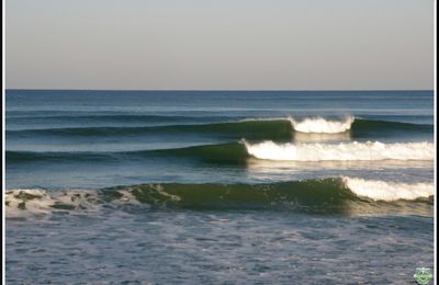 FONTE DES SWELLS