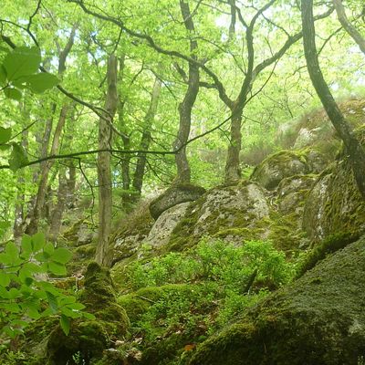 Notre périple dans le Kreiz Breizh!!!