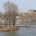 Loire, Coligny et arbres