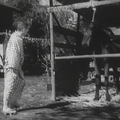 Acteurs ambulants (Tabi yakusha) de Mikio Naruse - 1940