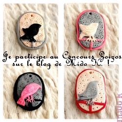 Petit Concours Zoizos !