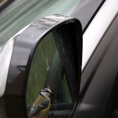 Miroir mon beau miroir...