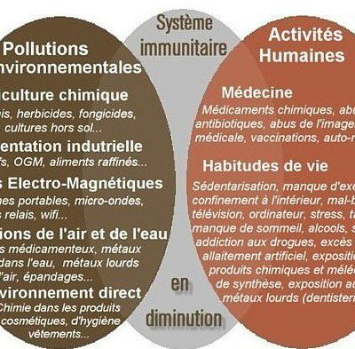 Les Maladies Dégénératives : origines et solutions ?