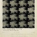 Poissons et oiseaux d'Escher 