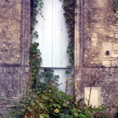 Au gré d'une balade en Charente ...