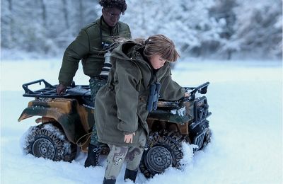 Carnet de voyage - Les loups noirs du Canada