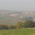 au pays de la vigne, du beaujolais et des pierres dorées...