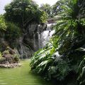 Visite du jardin botanique de Deshaie