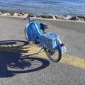 Cannes Palm beach motobecane bleue