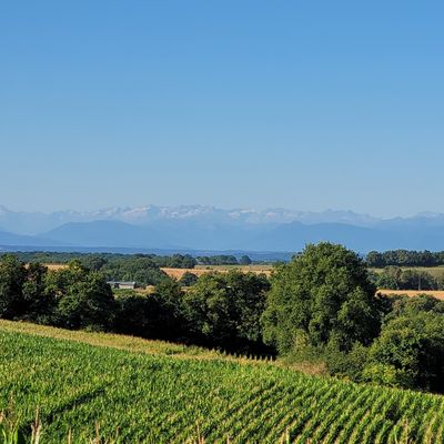 Jeudi 10 juillet - Monties