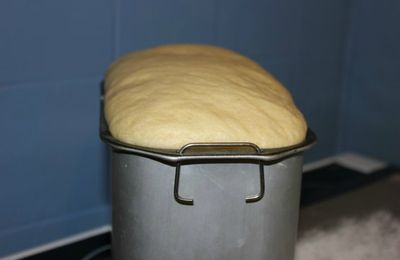 Je teste mes recettes de brioche ! (N° 1)