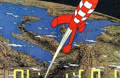 Objectif Pal de Novembre ~ Vos lectures