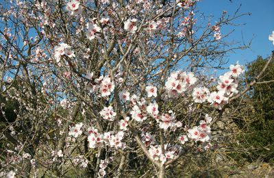 un air de printemps