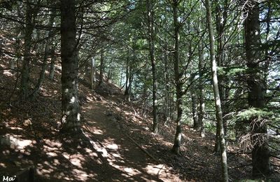 [Auvergne] le centre montagnard Cap Guéry, point de départ de jolies balades... 