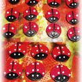 L'invasion des coccinelles!!!!