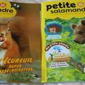 La petite salamandre {Concours}