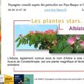 🌳 ALBIZIA par Paysagiste pays Basque et Paysagiste Landes