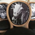 Les chaises médaillon relookées avec mes photos noir et blanc