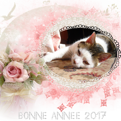 Bonne année 2017
