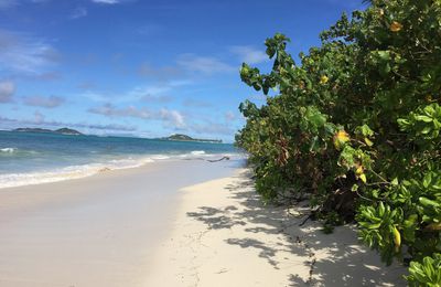 Notre séjour sur Praslin se termine, direction La Digue pour 3 jours