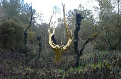 Brocéliande