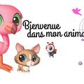 PETS SHOP ... mes meilleurs amis