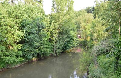 Walking along the Alzette