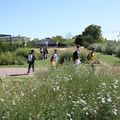 Visite des jardins de Gerland