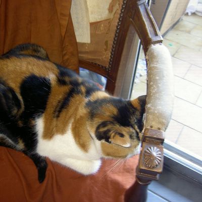 Journée tranquille sous la pluie