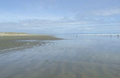 la 90 miles Beach et le Tane Mahuta