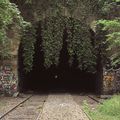 Promenade matinale sur la petite ceinture...