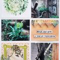 ALBUM BIOPARC FUENGIROLA 8