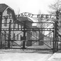 Arbeit macht frei...