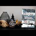 [ AVIS LECTURE ] Sauvage et sans merci de Claire Kells