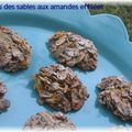 ROSES DES SABLES AUX AMANDES EFFILÉES