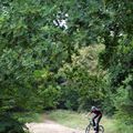 vélo en forêt de Baillon