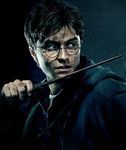 Harry Potter pour les moldus