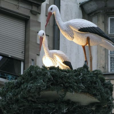 Marché de Noël de Strasbourg