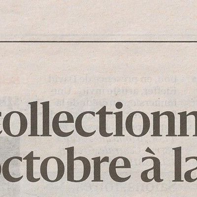 45e Salon des Collectionneurs à Belfort, un nouvel article, détaillé, de L’Est Républicain annonçant la manifestation du 26 octobre 2025