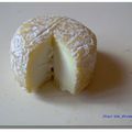 Crottin de Chavignol