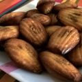 les madeleines au spéculos