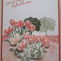 Carte Tulipes sur un champs en fleurs