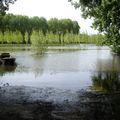 La vie des rivières, fleurs et fruits en mai