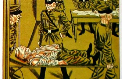 Hitler : la conquête du pouvoir