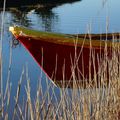 ETANG DE L'OR - CABANES DU SALAISON