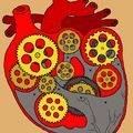 La mécanique du coeur