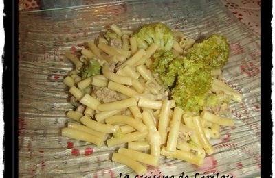 One pot pasta boeuf et brocolis 